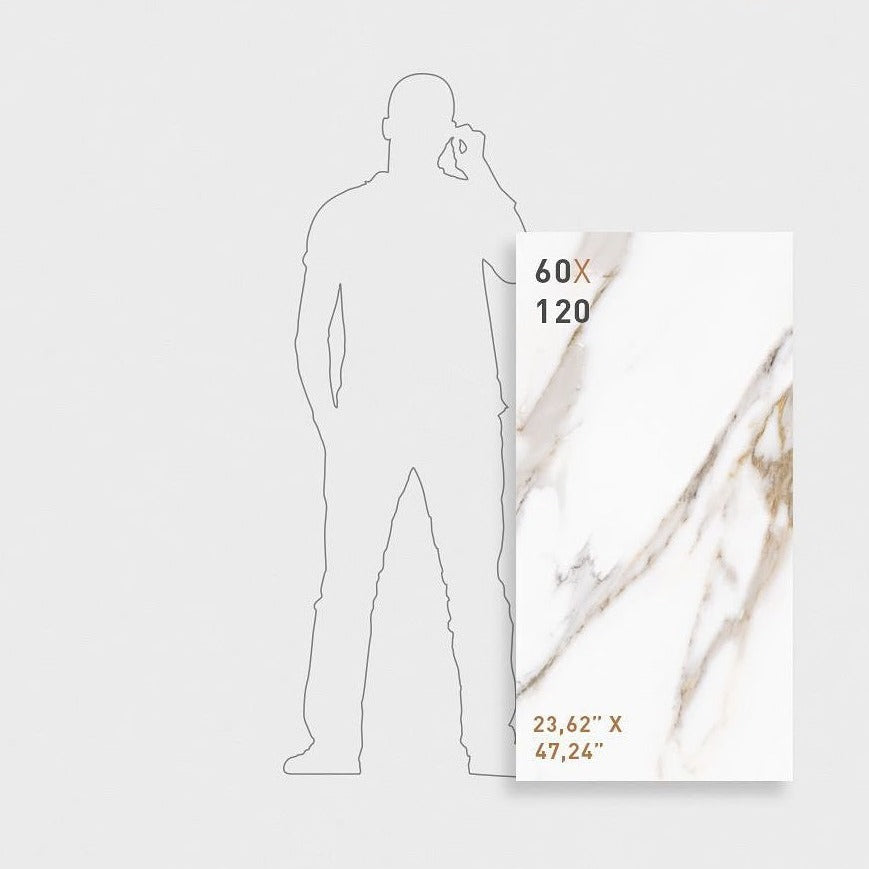 Gala Polished Indoor Wall&Floor Porcelain Tile-1200x600mm