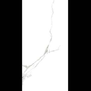 Bianca Statuario Matt Wall&Floor Porcelain Tile-1200x600mm