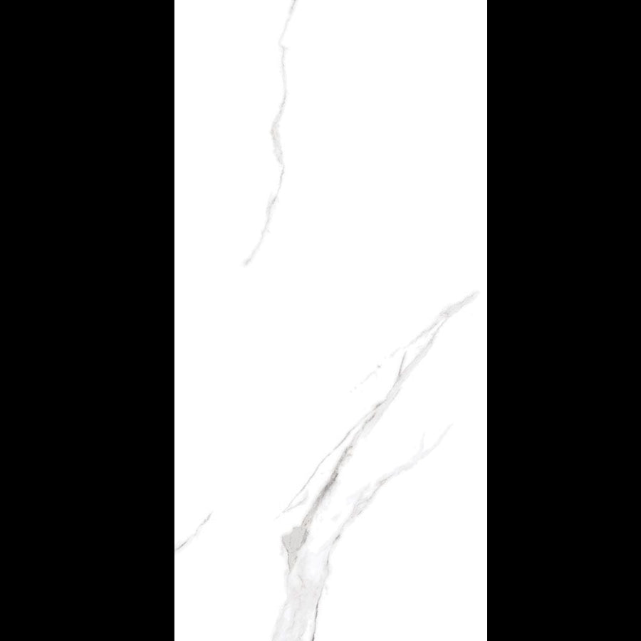 Bianca Statuario Matt Wall&Floor Porcelain Tile-1200x600mm