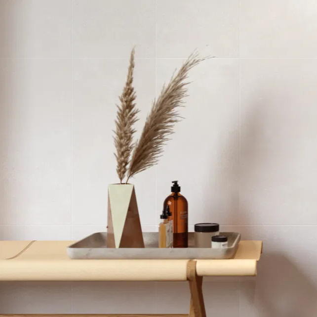 ConcreteBoneMattIndoorWall_FloorPorcelainTile-600x600mm
