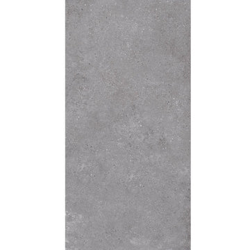 Galaxy Gris Outdoor Porcelain Paving Slabs - 1200X600x20mm