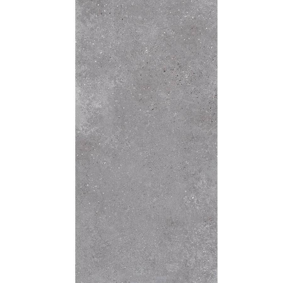 Galaxy Gris Outdoor Porcelain Paving Slabs - 1200X600x20mm