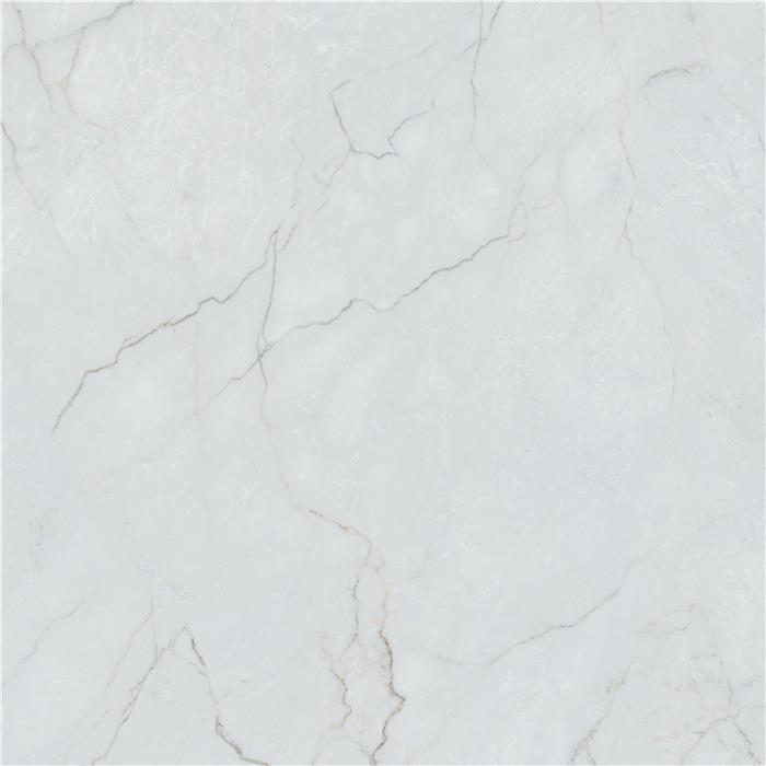 Galileo White Wall&Floor Porcelain Tile-980x980mm