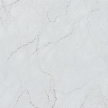 Galileo White Wall&Floor Porcelain Tile-980x980mm
